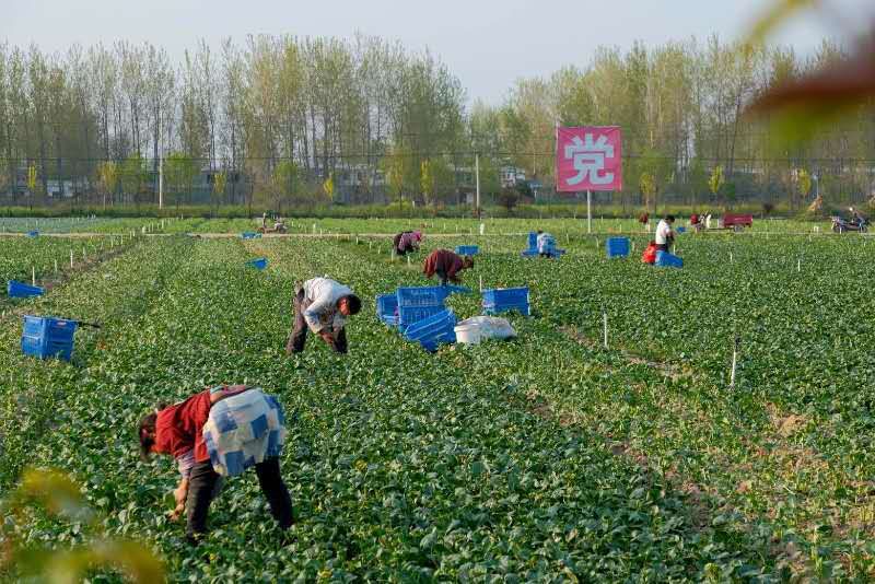 微信图片_20200519085543