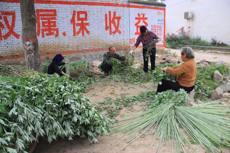 无意争颜呈媚态  芳名自有庶民知
