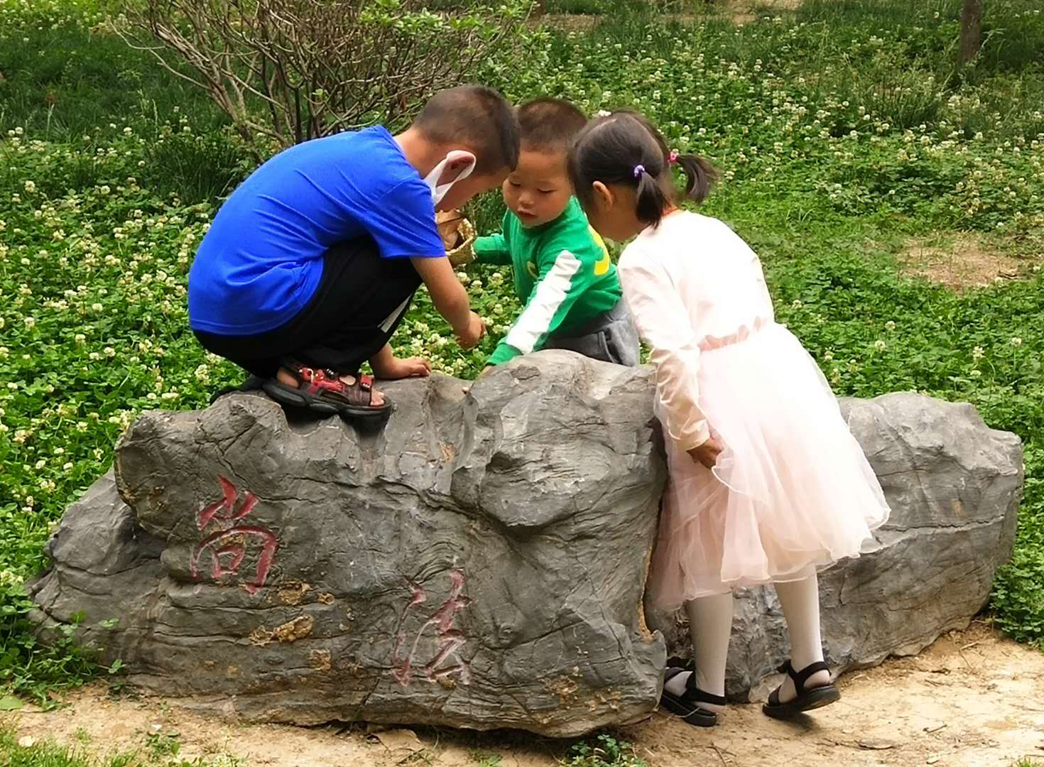 图片8