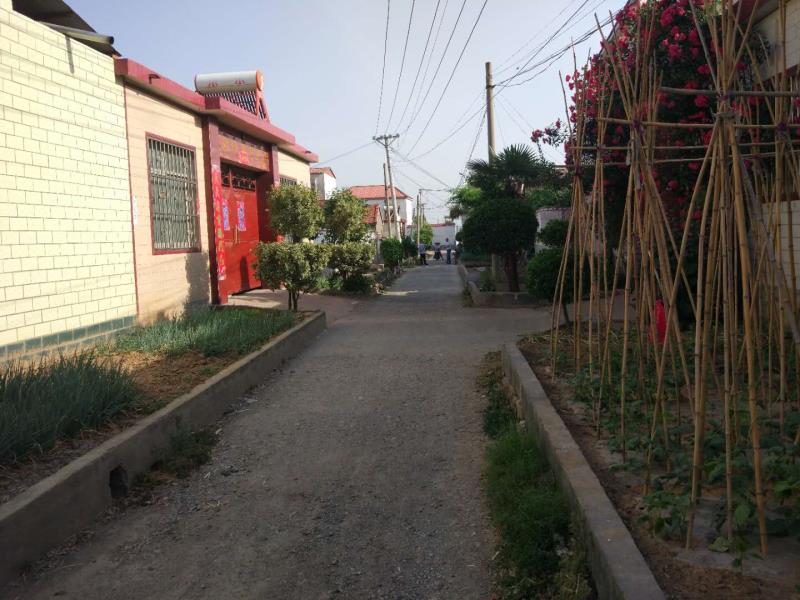 mmexport1591795558168