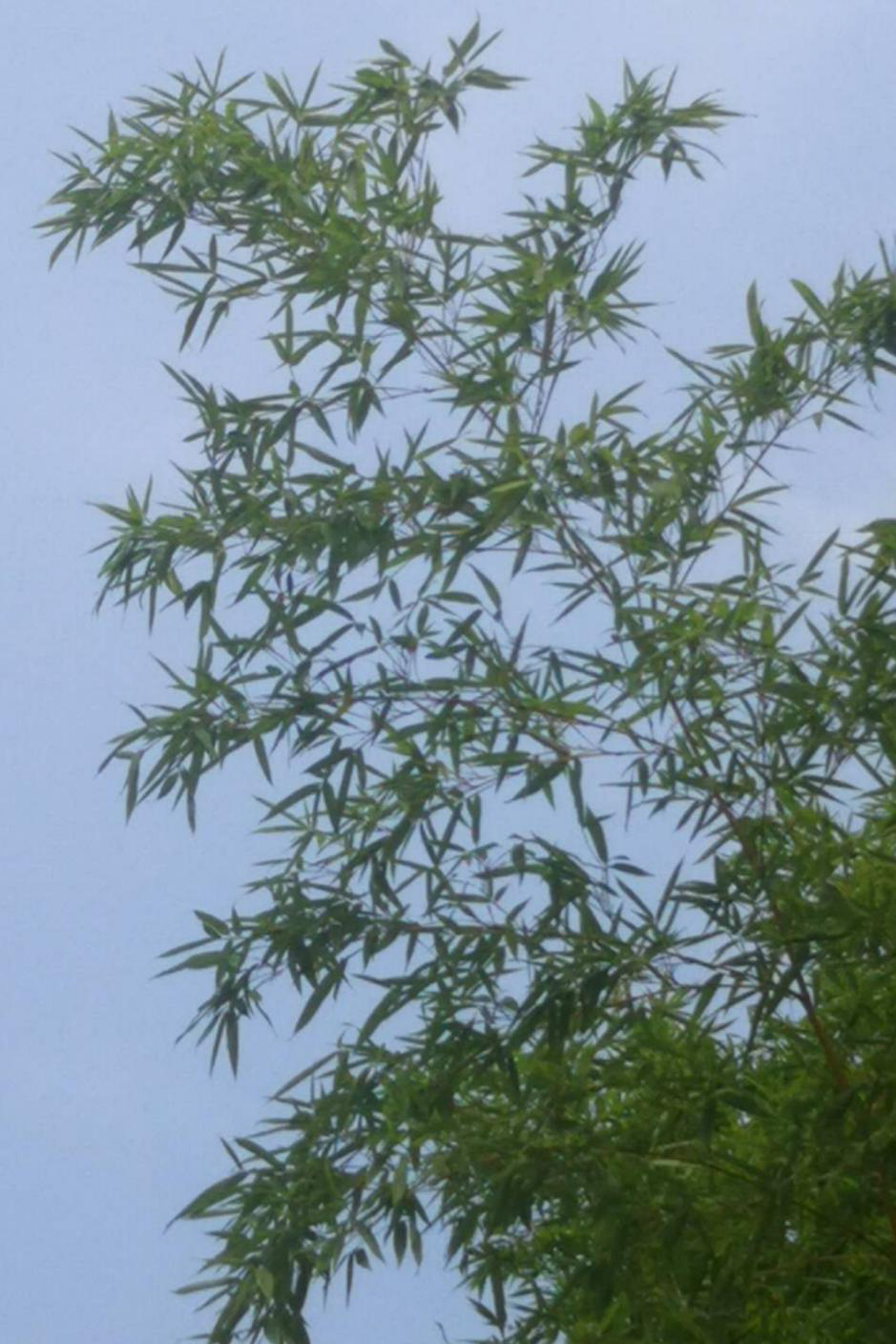 图片6