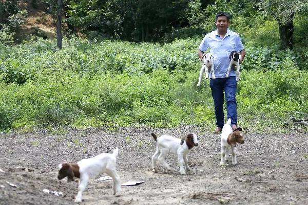 微信图片_20200721162801