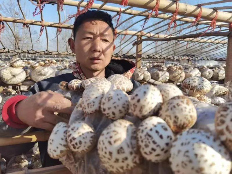 微信图片_20210205100511