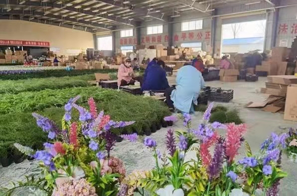 微信图片_20211212135122